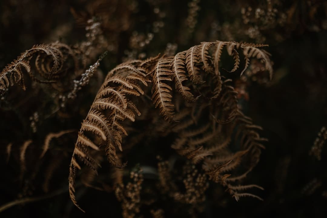 BABYMONSTER《HOT SAUCE》MV点击率打破1亿 累计第11支破亿视频